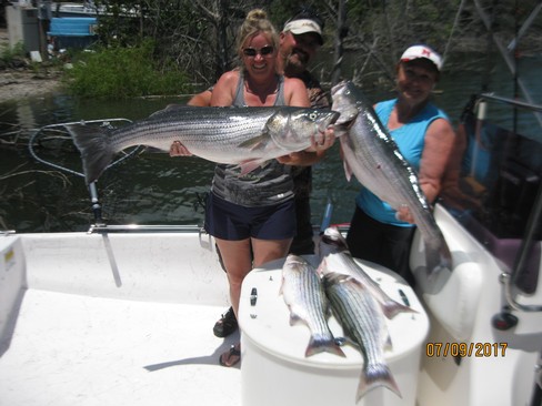 Nice Striped Bass